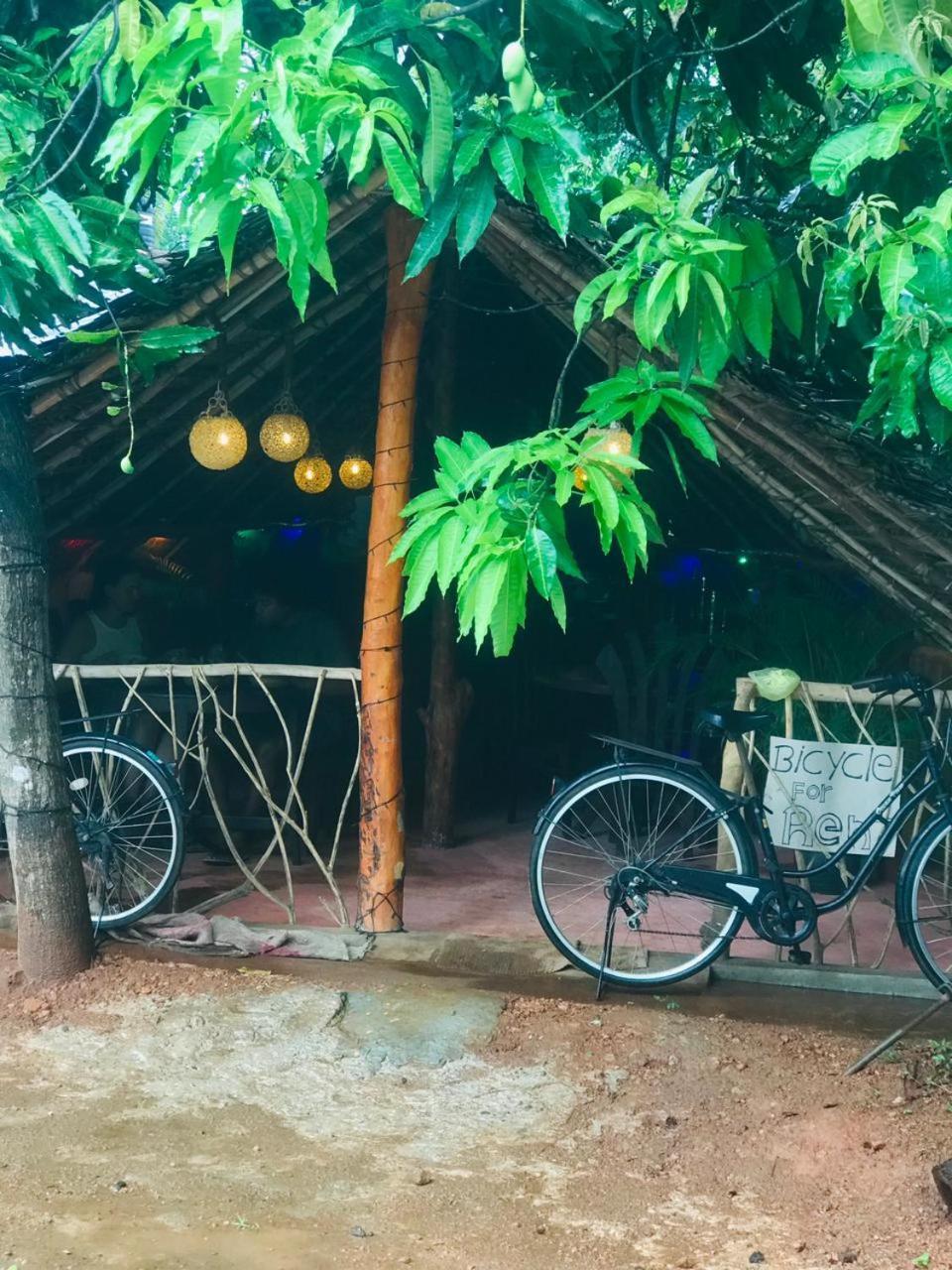 Sigiri Sara Home Stay Nice Village Sigiriya Exterior foto